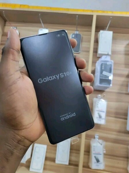 Samsung Galaxy S10+