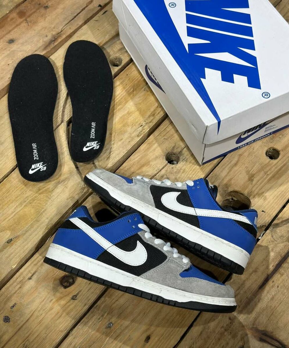 SB Dunks
