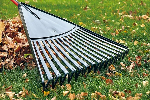 Rakes