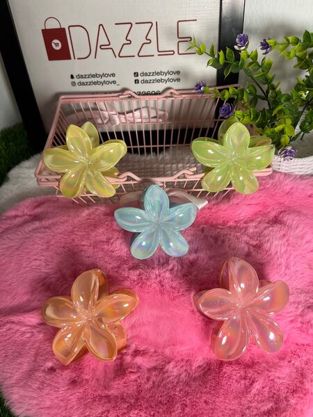 Hair clip
