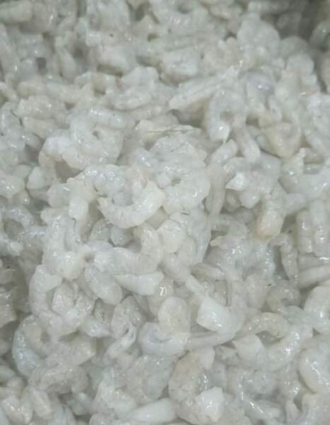 Crevettes grises