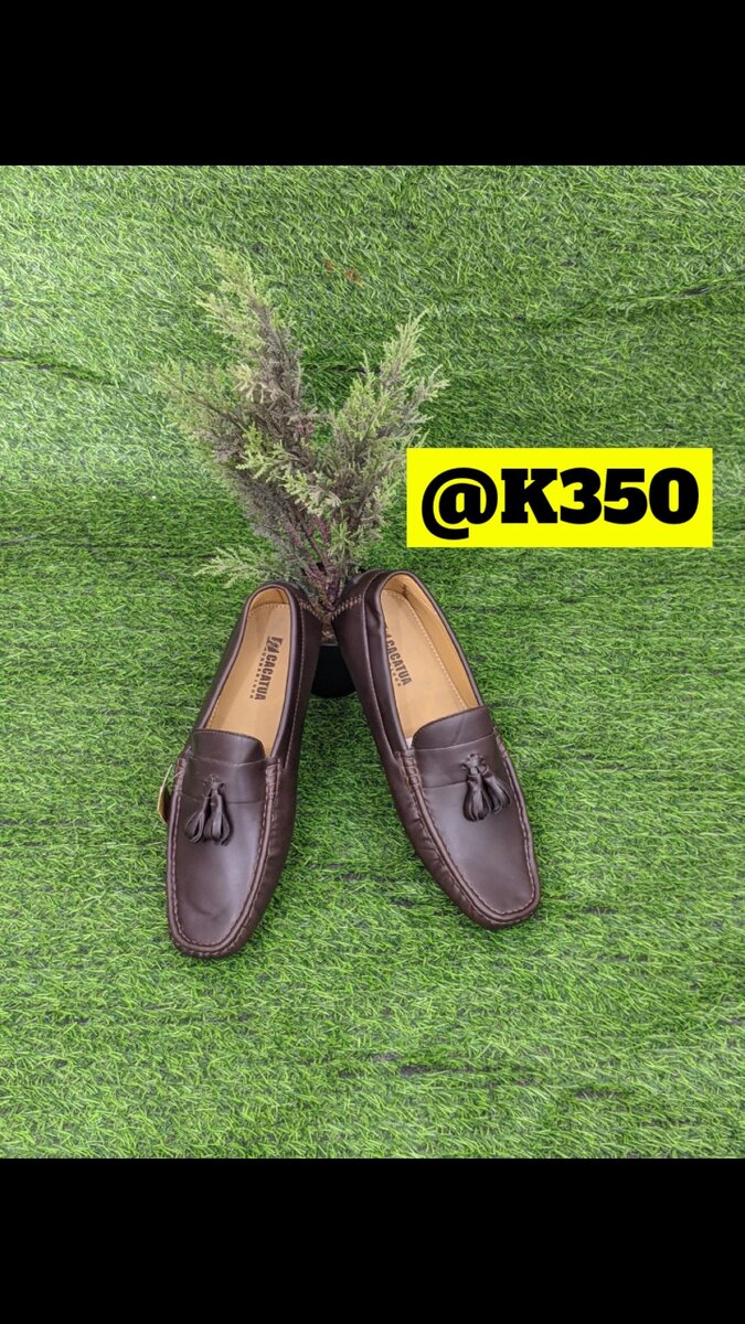 Moccasins