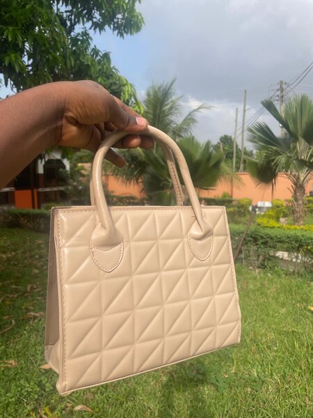 Ladies handbag