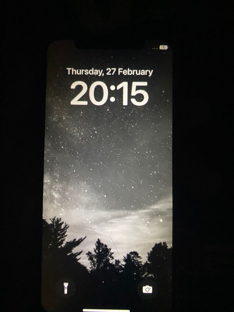 iPhone X