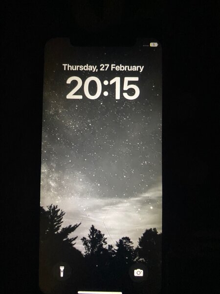 iPhone X