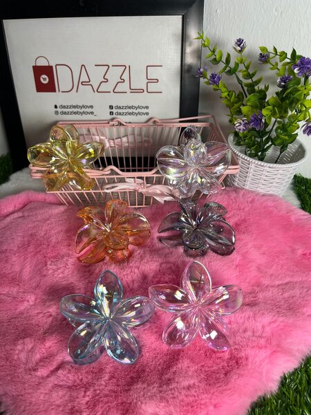 Hair clip