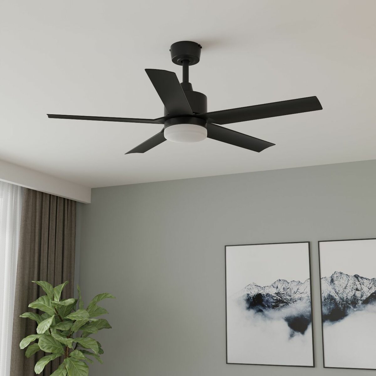 Fan
