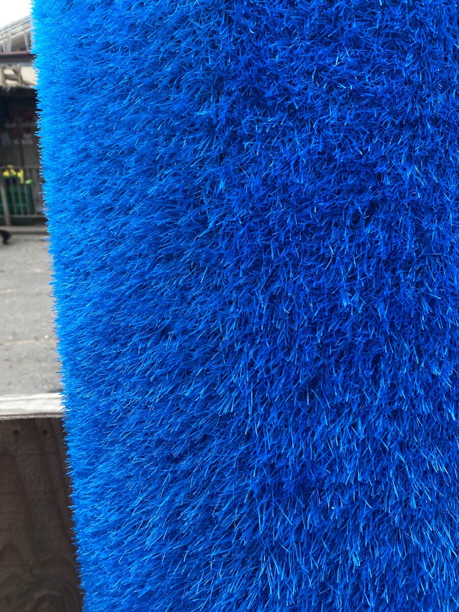 Blue grass carpet