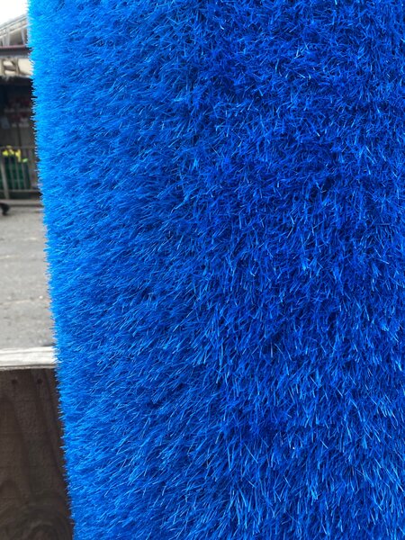 Blue grass carpet