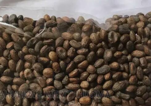 Miracle Seed 100pcs