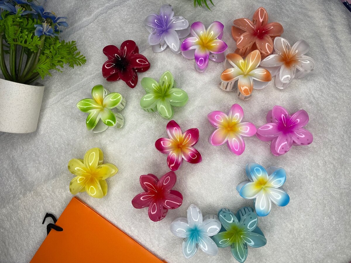 Hair holders
