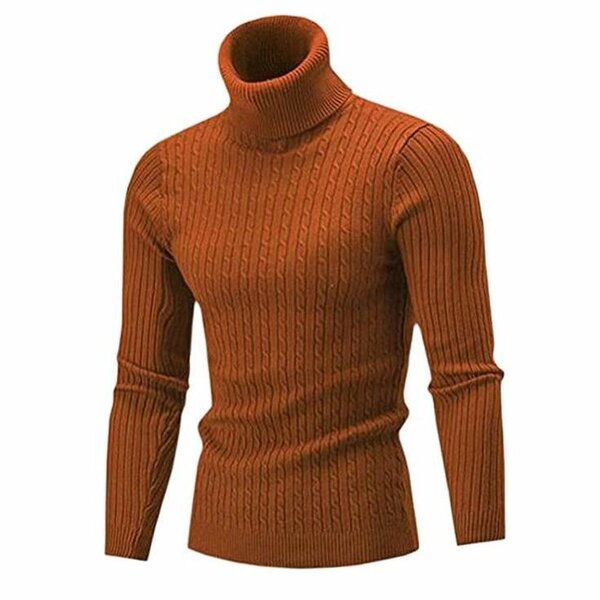 TUTLE NECK TOP