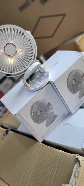 Rechargeable fan