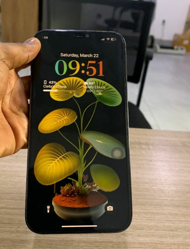 Iphone 12 pro max