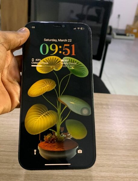Iphone 12 pro max