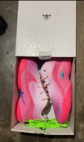 Nike LeBron 22 pink