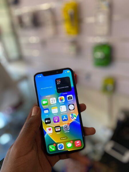 iPhone X unlocked