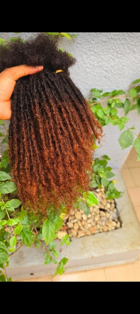 Afro tisme humain