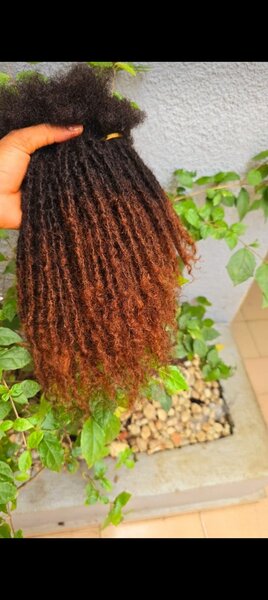 Afro tisme humain