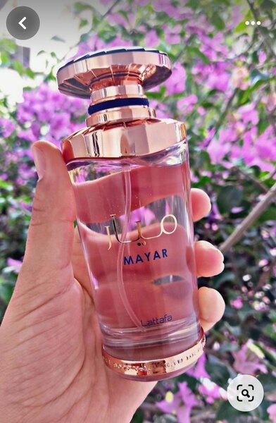Maya