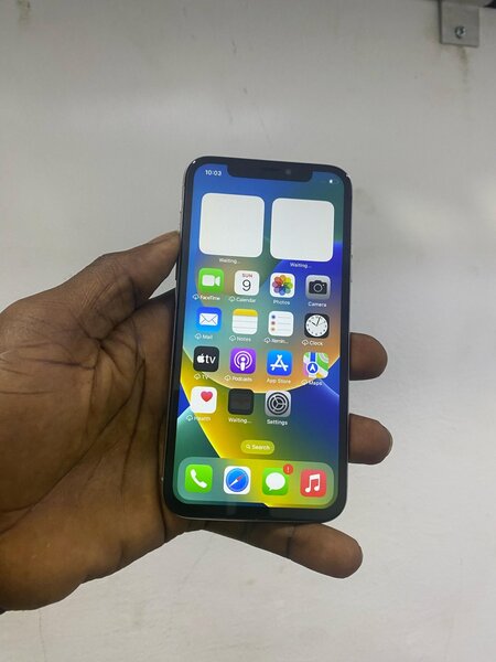 iPhone X
