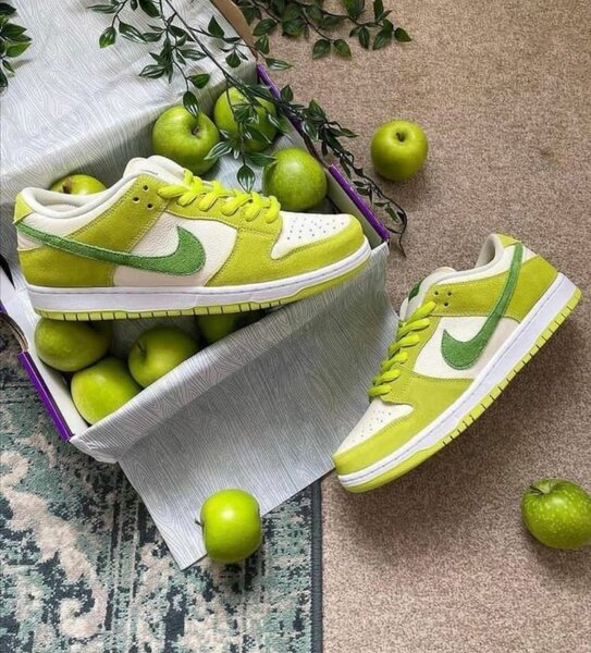Nike Sb