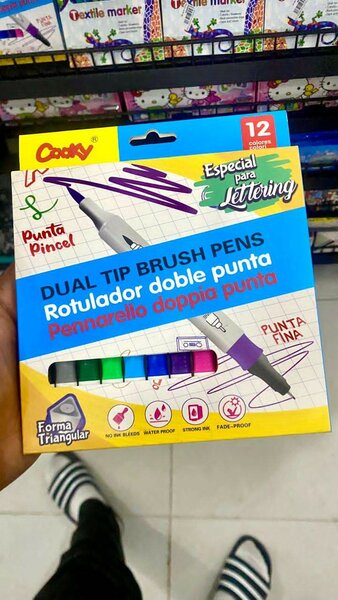 Dual tip brush pens