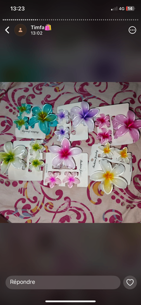 Pinces à cheveux