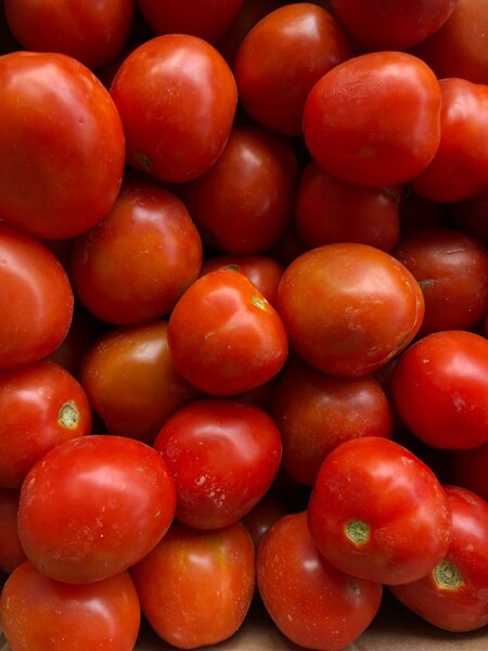 Oignons /Pomme de terre/Ail/Tomates