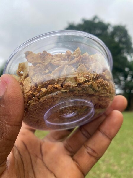 Pastilles de gingembre