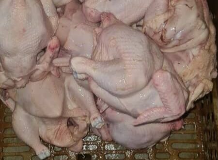 Poulets de chair