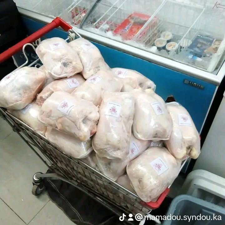 Filet, gésiers et poulet apoutchou 1 de Sadia volailles