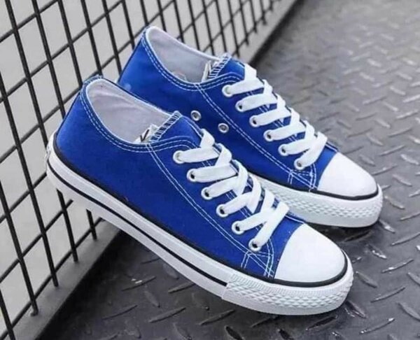 Sneakers en toile colorées