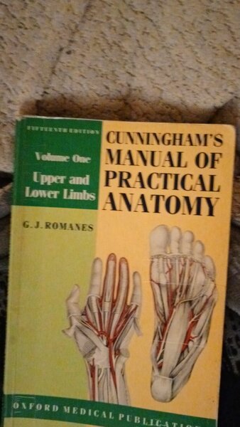 Anatomy
