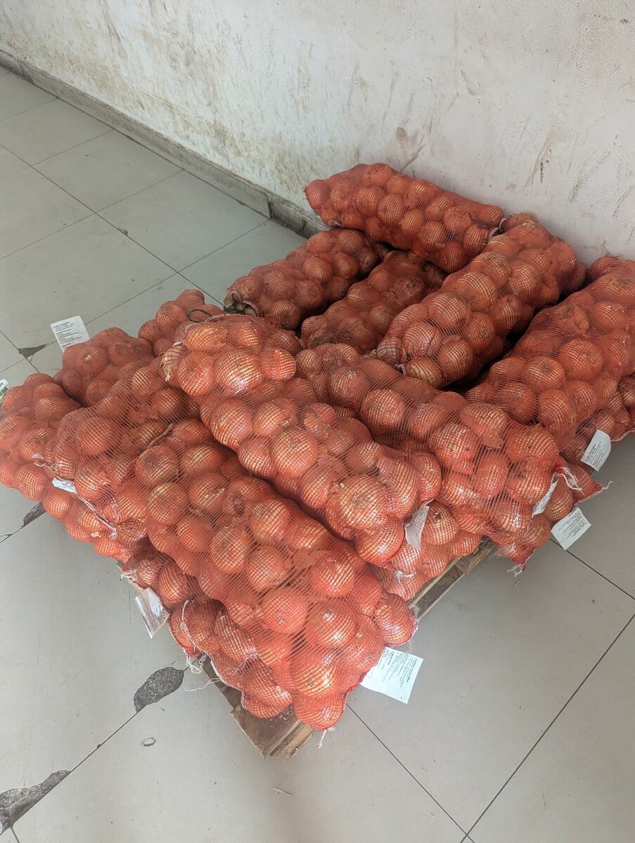 ONION