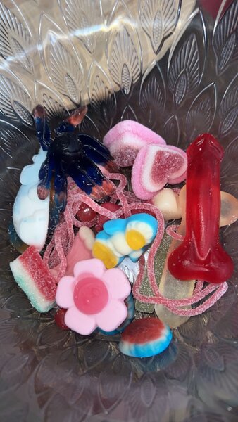 Bonbon Coquin
