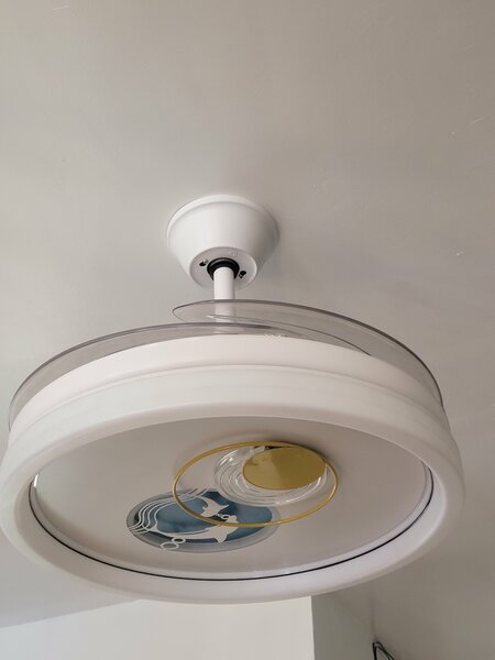 Luxury fan with light