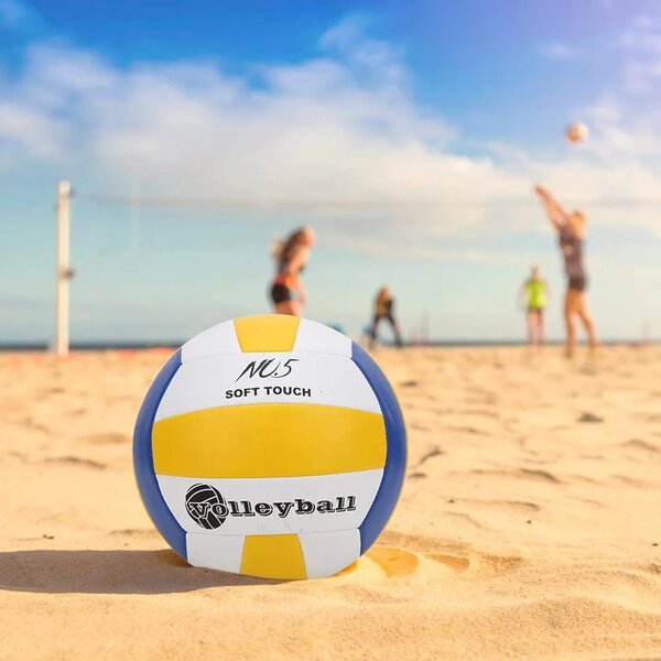 Ballon de volley professionnel