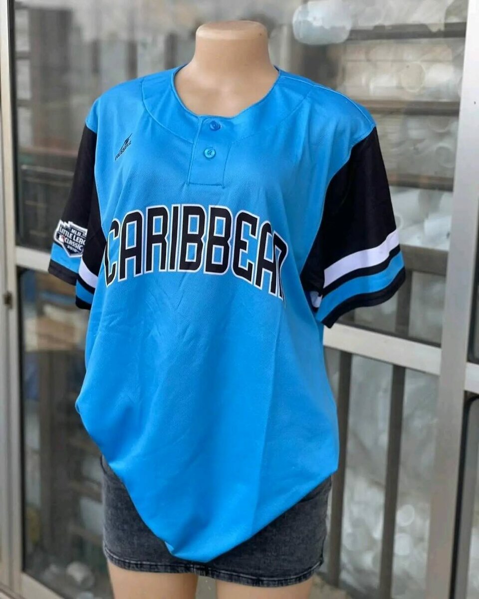 Ladies top