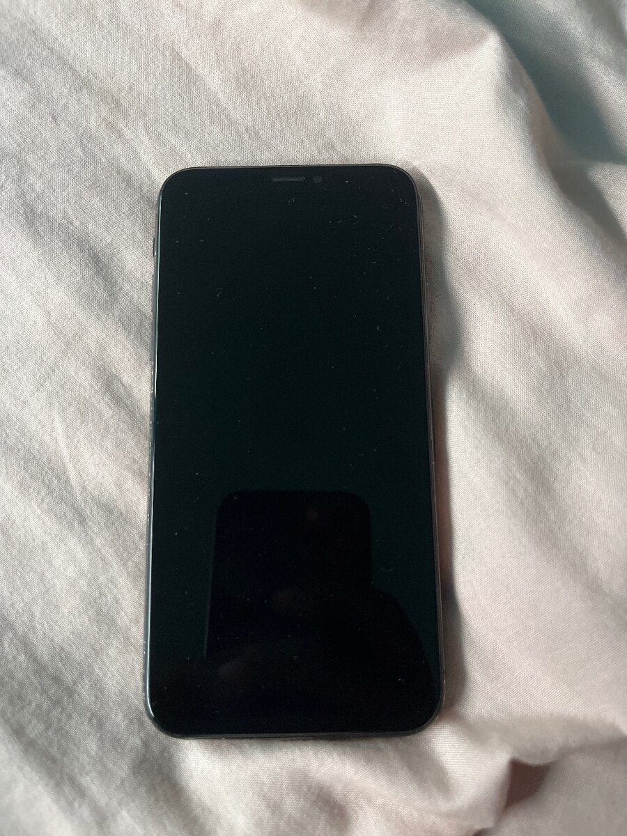 iPhone X