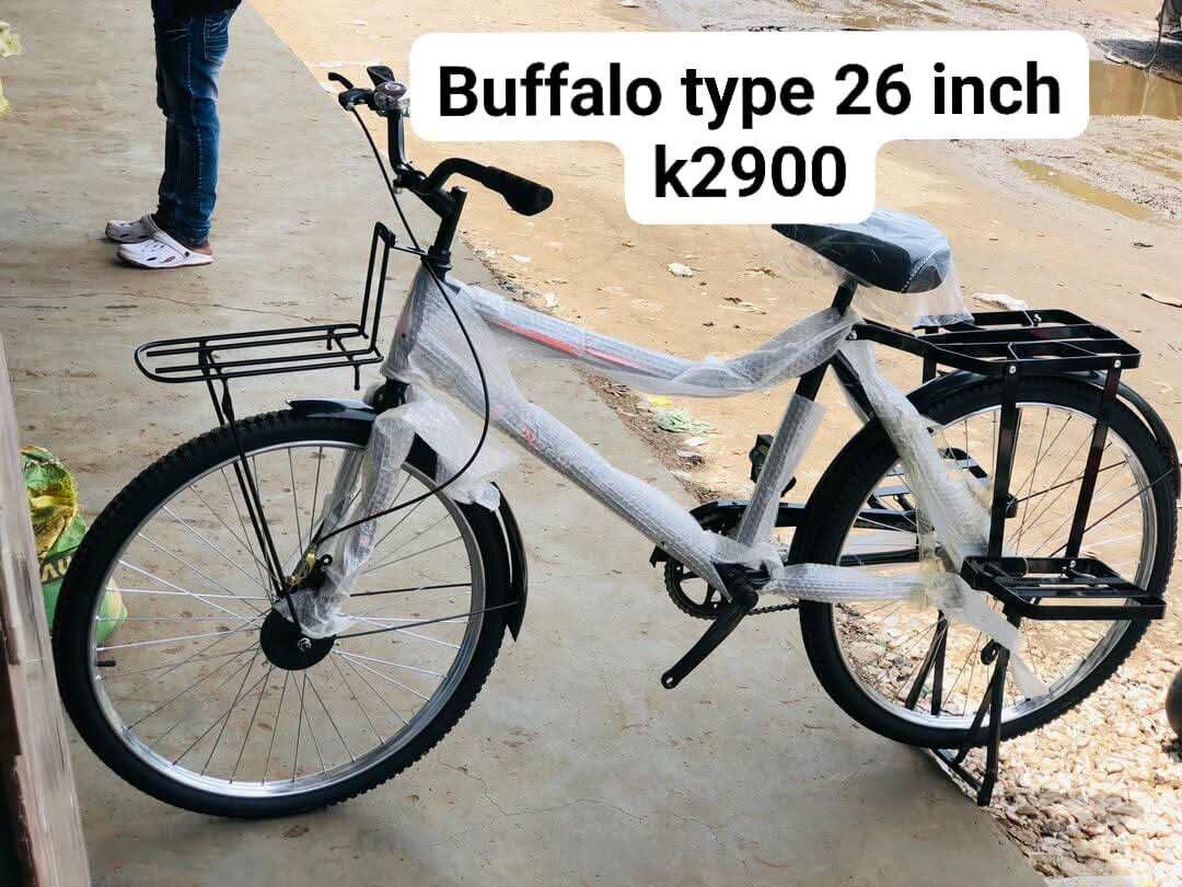 Buffalo