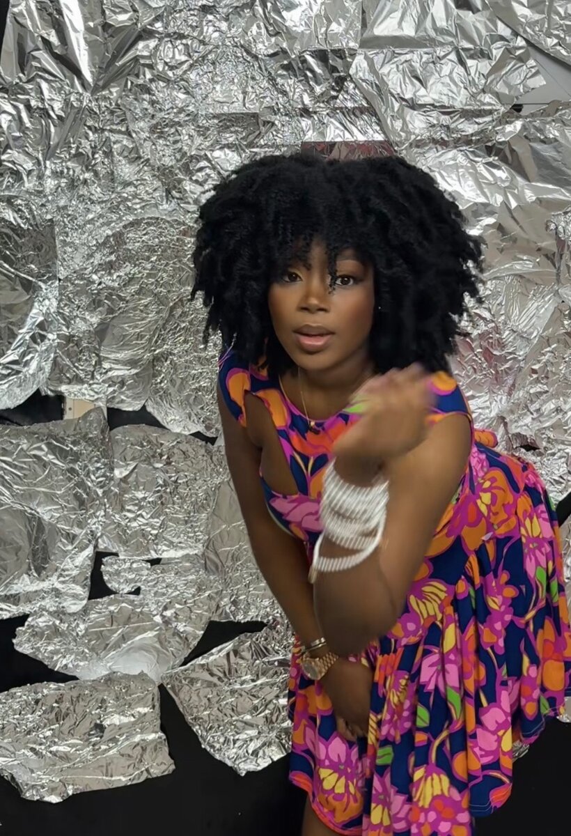 Perruque Afro