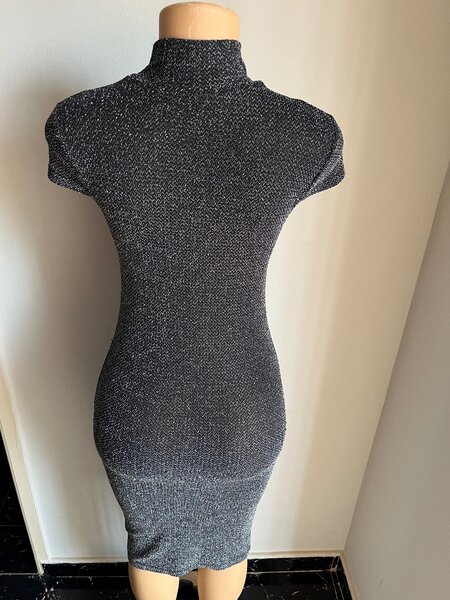 The Shimmery Dress