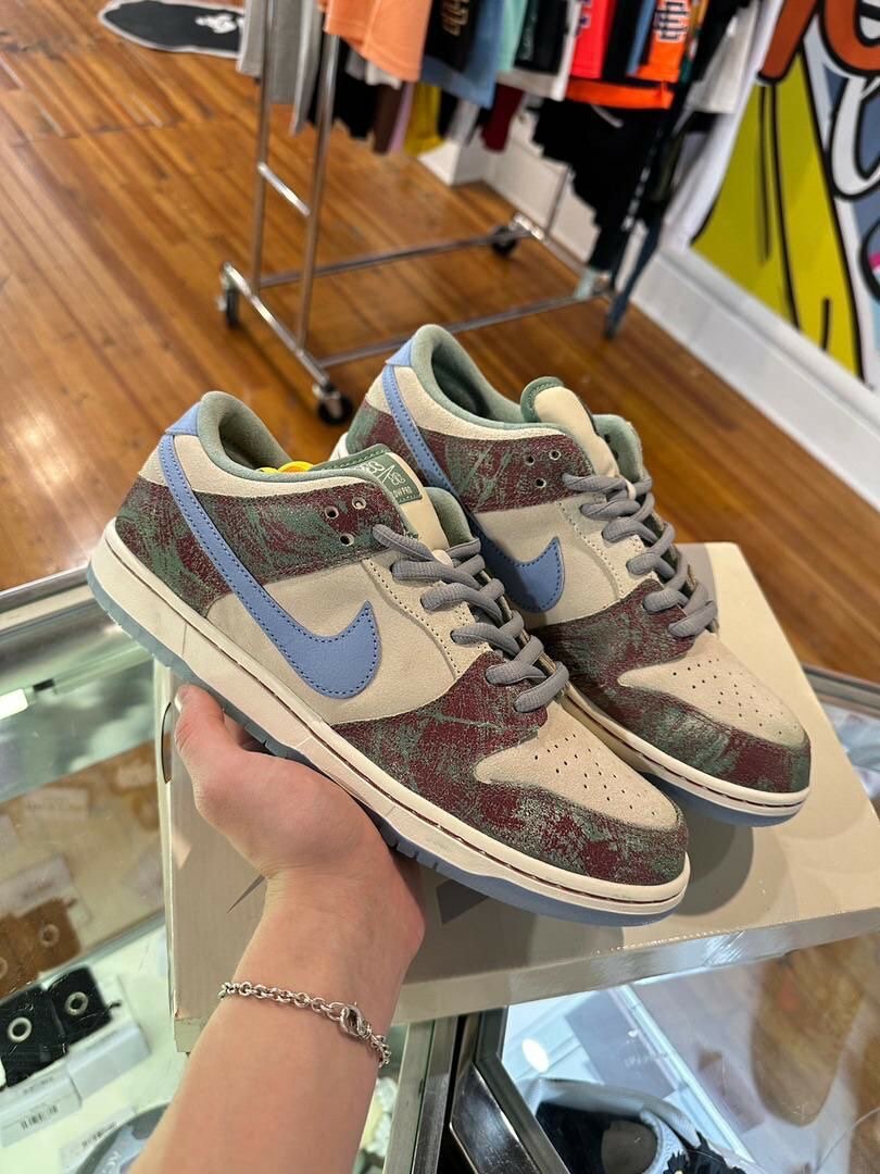 Chaussure SB