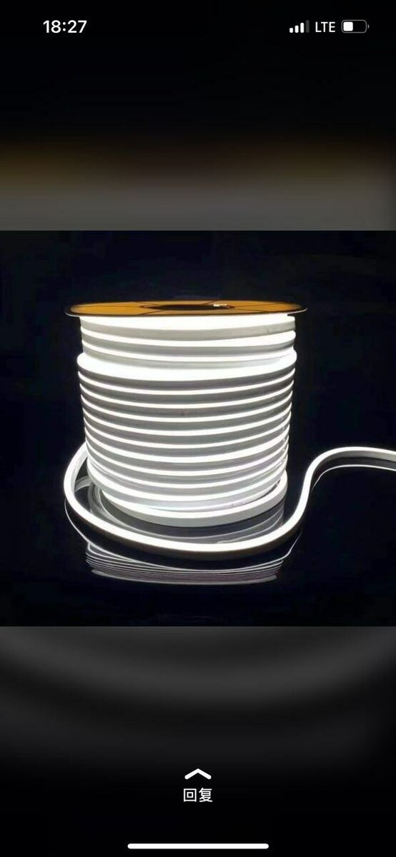 Neon strip light