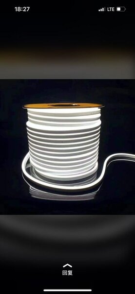 Neon strip light
