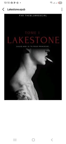 Lakestone(T1) version-epub