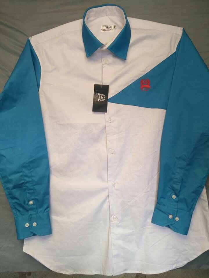Chemise bicolore élégante