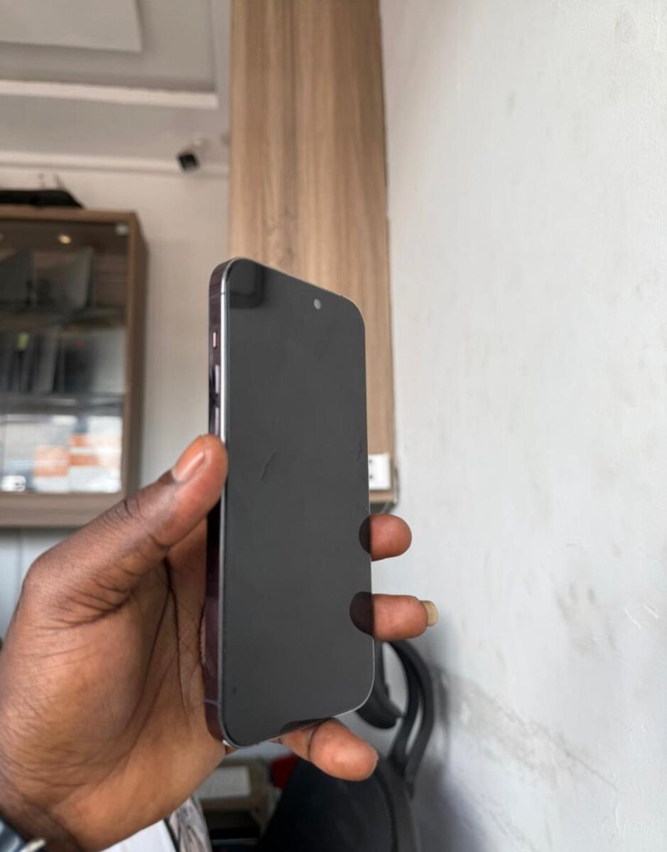 iPhone 14 Pro Max