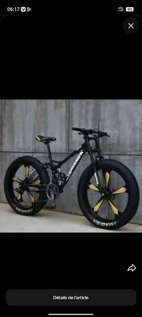 Vélo Fat Bike Tout-Terrain